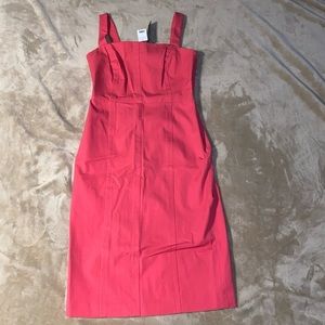 NWT Banana Republic Pink Body Con Dress!